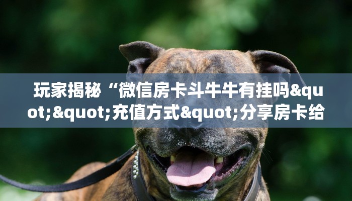 盘点这款“微信金花房卡购买界面”(确实真的有挂) 盘点这款“微信金花房卡购买界面”(确实真的有挂)