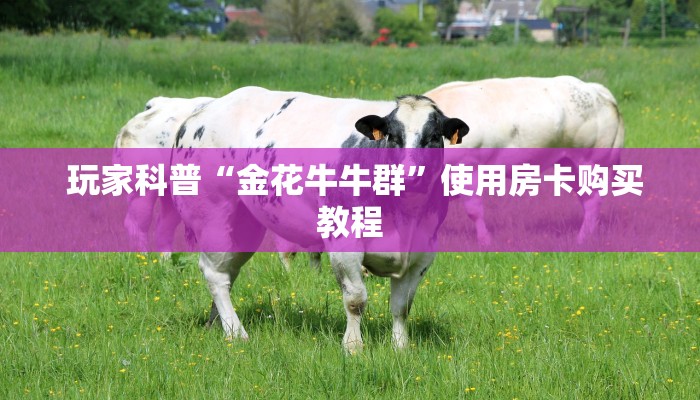 盘点这款“微信金花购买房卡教程”房卡实战经验