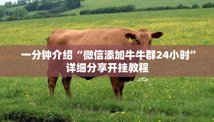 一分钟介绍“微信添加牛牛群24小时”详细分享开挂教程 一分钟介绍“微信添加牛牛群24小时”详细分享开挂教程