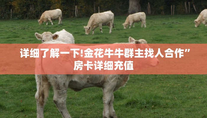 必看教程“牛魔王房卡在哪买”(详细房卡教程) 必看教程“牛魔王房卡在哪买”(详细房卡教程)
