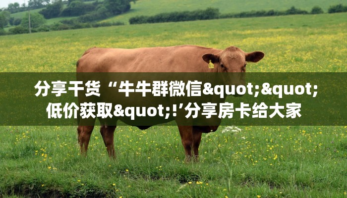  分享干货“牛牛群微信""低价获取"!’分享房卡给大家