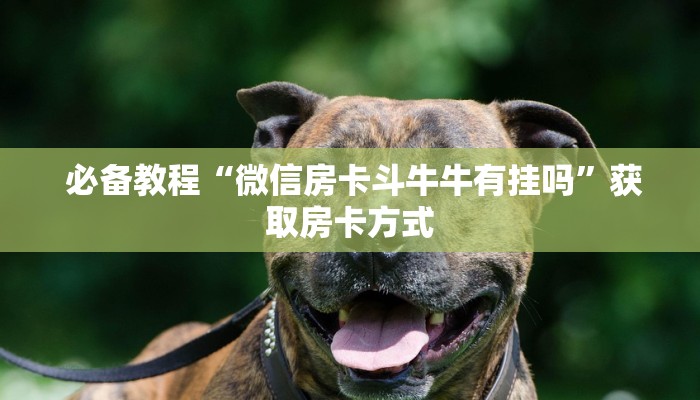  盘点那些“微信链接炸金花房卡怎么买”详细房卡怎么购买教程