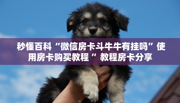  内幕解析“皇豪众娱房卡代理价格”房卡实战经验