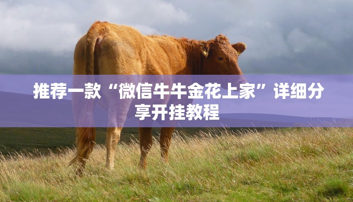推荐一款“微信牛牛金花上家”详细分享开挂教程 推荐一款“微信牛牛金花上家”详细分享开挂教程