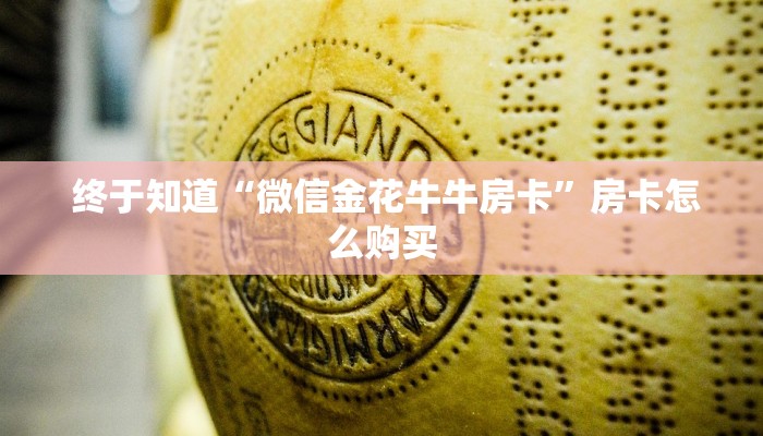 终于知道“微信金花牛牛房卡”房卡怎么购买 终于知道“微信金花牛牛房卡”房卡怎么购买