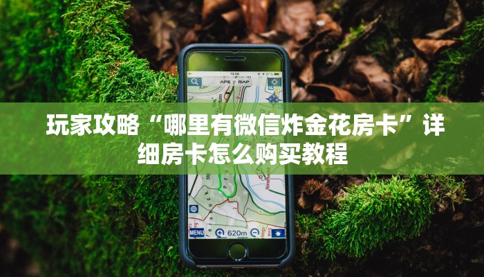  玩家攻略“哪里有微信炸金花房卡”详细房卡怎么购买教程