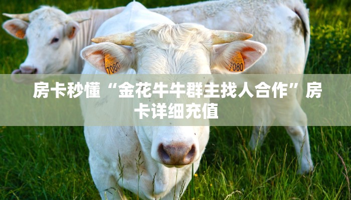房卡秒懂“金花牛牛群主找人合作”房卡详细充值 房卡秒懂“金花牛牛群主找人合作”房卡详细充值