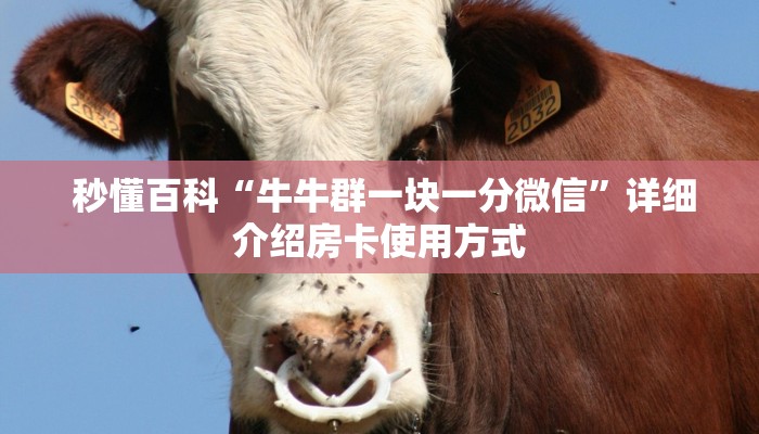靠谱推荐“微信炸金花房卡怎么购买”详细分享开挂教程 靠谱推荐“微信炸金花房卡怎么购买”详细分享开挂教程