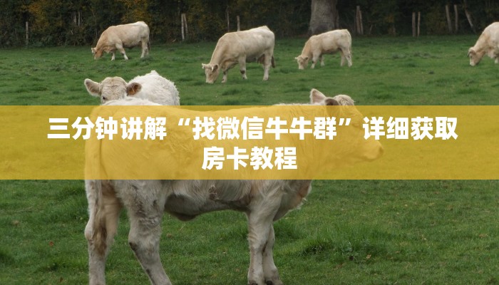 三分钟讲解“找微信牛牛群”详细获取房卡教程 三分钟讲解“找微信牛牛群”详细获取房卡教程