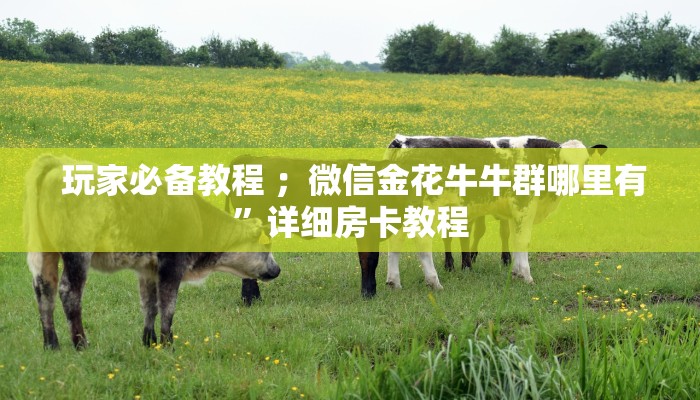  1秒种了解“微信金花大厅房卡透视"怎么弄房卡"详细步骤分享！！！