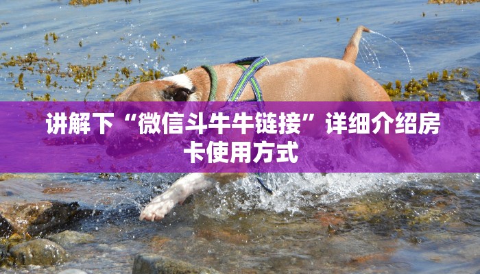  讲解下“微信斗牛牛链接”详细介绍房卡使用方式