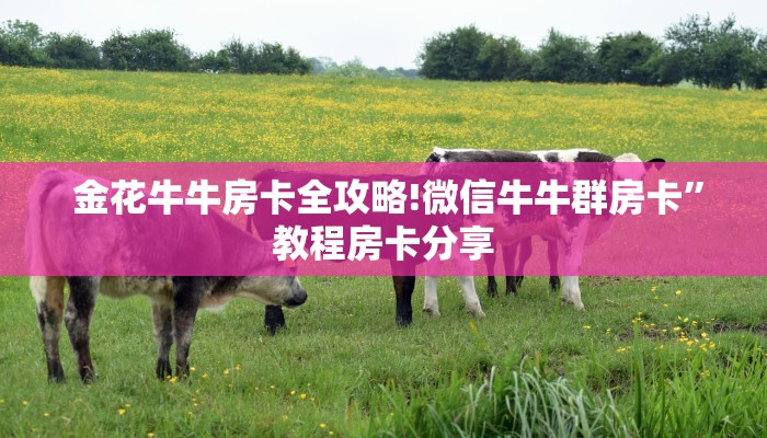  独家了解“新永和大厅怎么买房卡”房卡实战经验