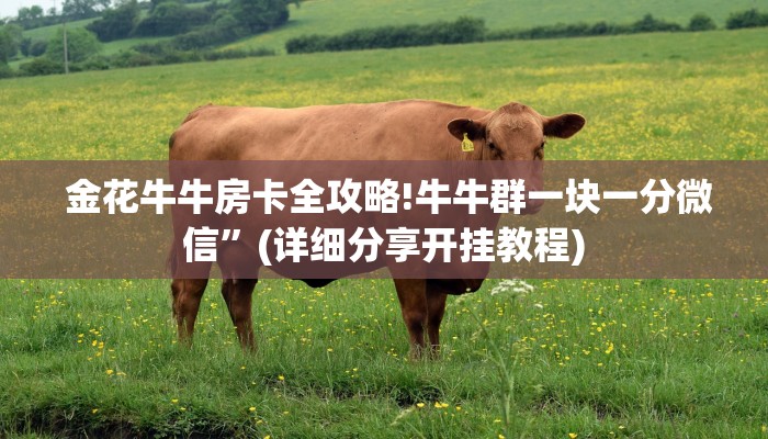  重要信息“新众亿拼十房间在哪买房卡”独家房卡怎么购买方式