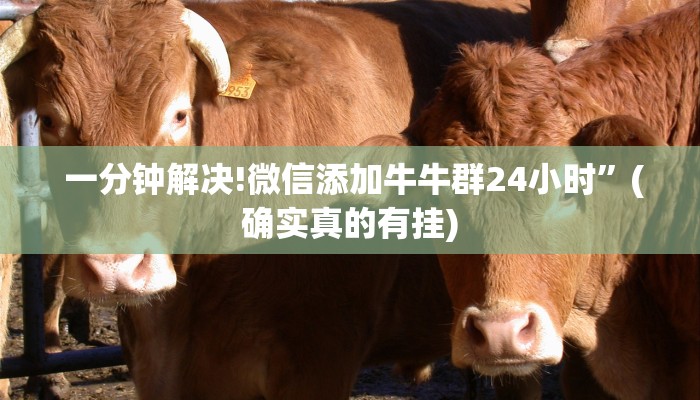  一分钟解决!微信添加牛牛群24小时”(确实真的有挂)