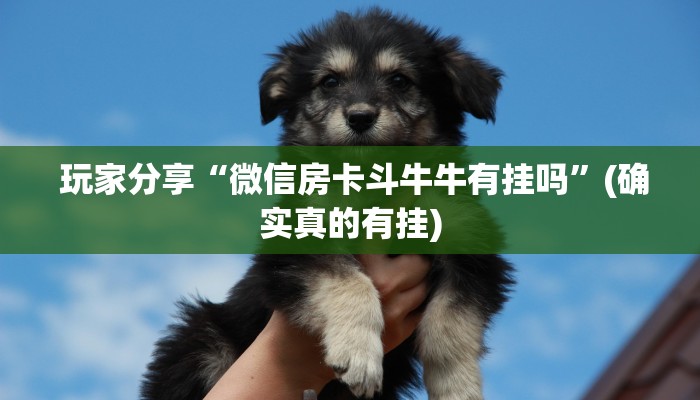  玩家科普“新道游房卡链接怎么搞”独家房卡怎么购买方式