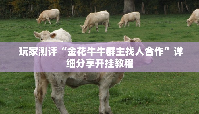 房卡秒懂“皇豪互众官网”如何获取房卡 房卡秒懂“皇豪互众官网”如何获取房卡