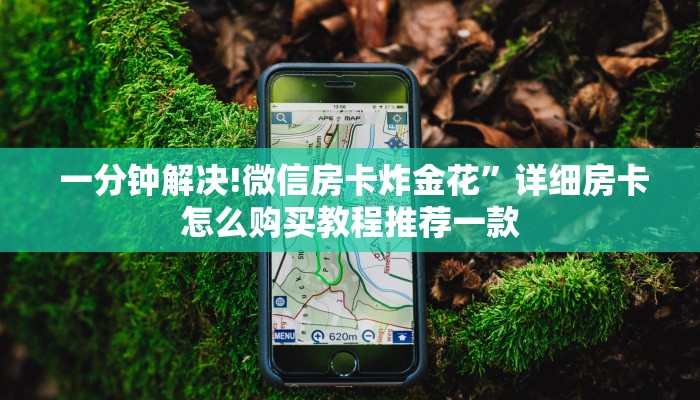  一分钟解决!微信房卡炸金花”详细房卡怎么购买教程推荐一款