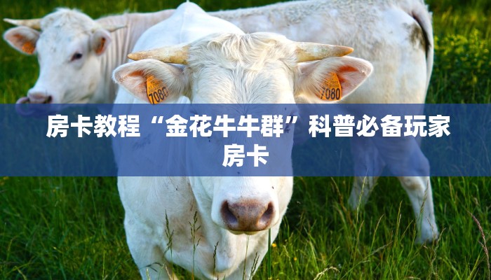 信息科普“皇豪互众怎么买房卡”房卡怎么购买 信息科普“皇豪互众怎么买房卡”房卡怎么购买