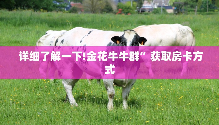  详细了解一下!金花牛牛群”获取房卡方式