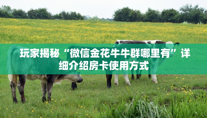  玩家揭秘“微信金花牛牛群哪里有”详细介绍房卡使用方式