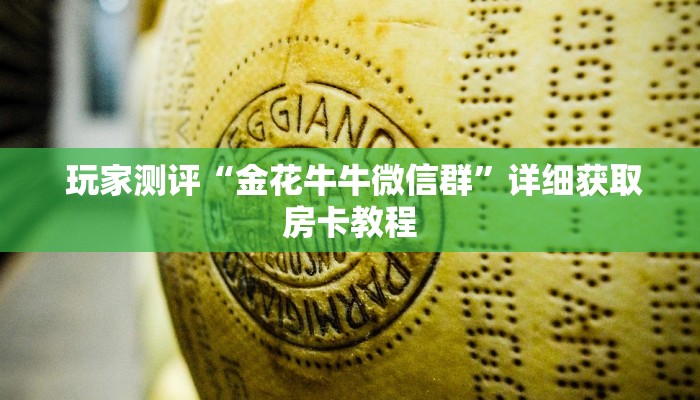  玩家测评“金花牛牛微信群”详细获取房卡教程
