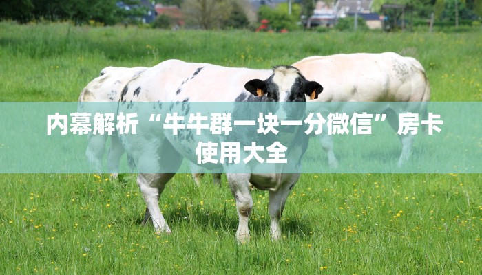  内幕解析“牛牛群一块一分微信”房卡使用大全