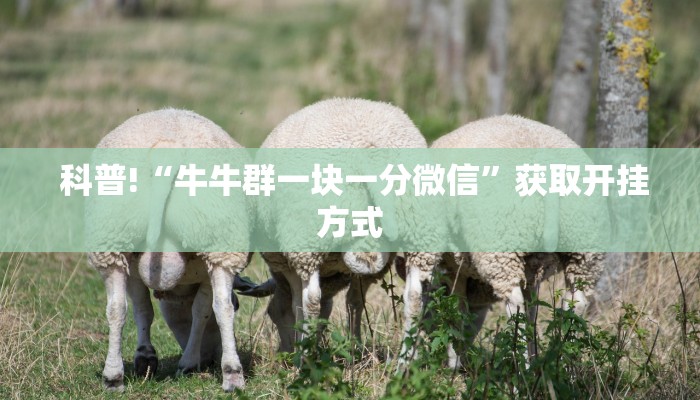 房卡必备教程“微信金花房卡随意玩”链接房卡在哪里获取 房卡必备教程“微信金花房卡随意玩”链接房卡在哪里获取