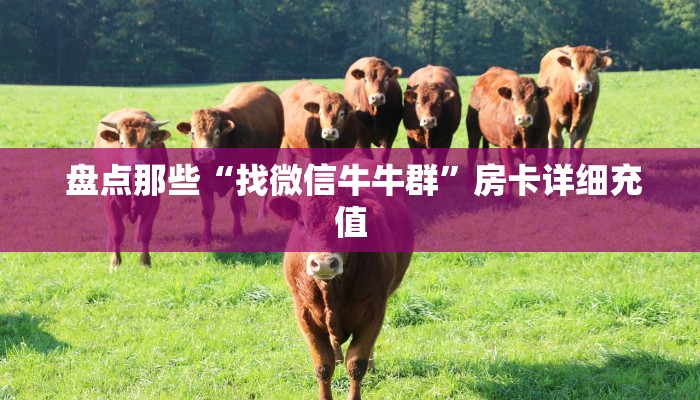  盘点那些“找微信牛牛群”房卡详细充值