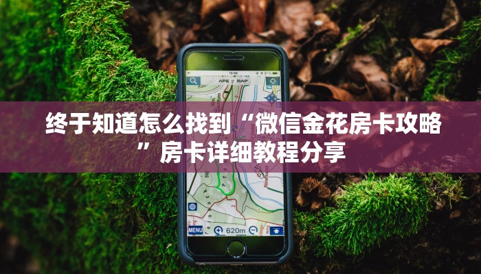 内幕揭晓“微信玩金花房卡在哪买”详细房卡点评 内幕揭晓“微信玩金花房卡在哪买”详细房卡点评