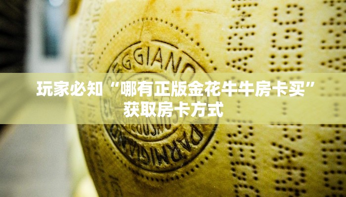  玩家揭秘“微信牛牛群房卡哪里买”独家房卡怎么购买方式