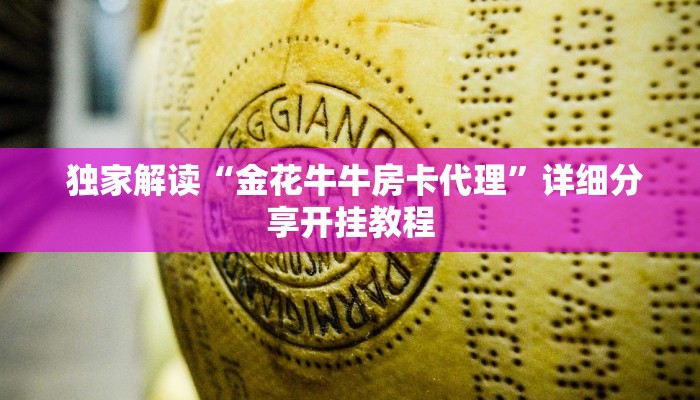  独家解读“金花牛牛房卡代理”详细分享开挂教程