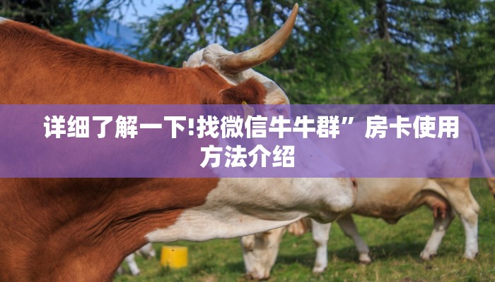  详细了解一下!找微信牛牛群”房卡使用方法介绍