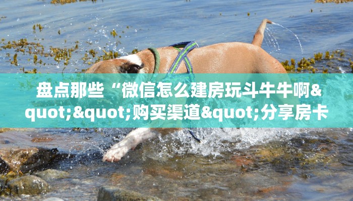  盘点那些“微信怎么建房玩斗牛牛啊""购买渠道"分享房卡给大家