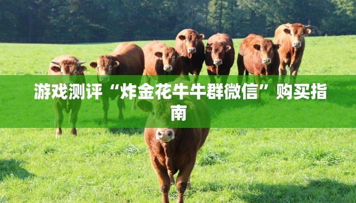 游戏测评“炸金花牛牛群微信”购买指南 游戏测评“炸金花牛牛群微信”购买指南