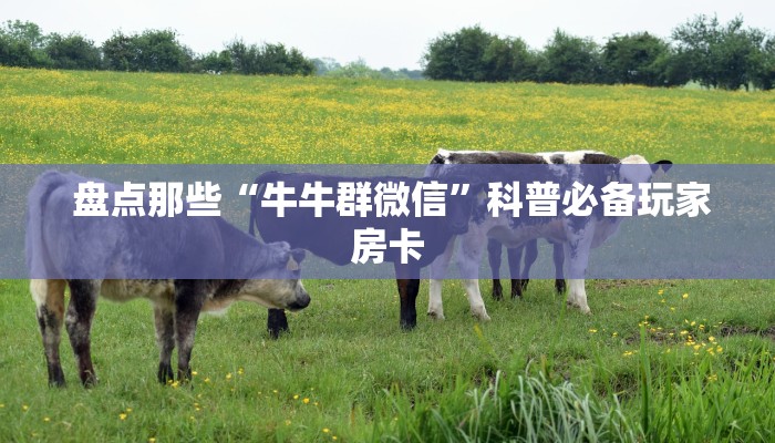  盘点那些“牛牛群微信”科普必备玩家房卡