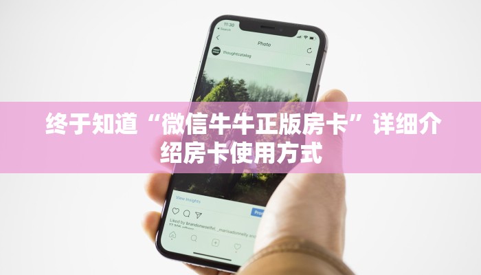  终于知道“微信牛牛正版房卡”详细介绍房卡使用方式