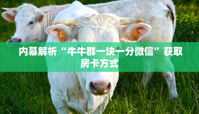 内幕解析“牛牛群一块一分微信”获取房卡方式 内幕解析“牛牛群一块一分微信”获取房卡方式