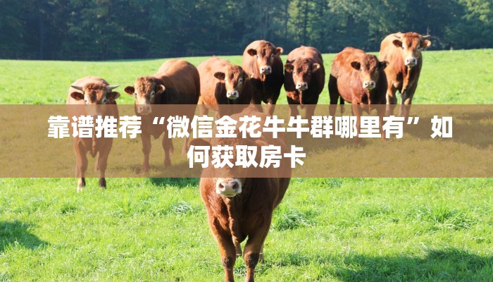 靠谱推荐“微信金花牛牛群哪里有”如何获取房卡 靠谱推荐“微信金花牛牛群哪里有”如何获取房卡