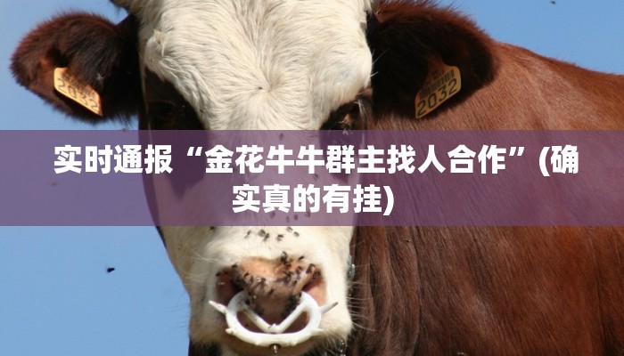 实时通报“金花牛牛群主找人合作”(确实真的有挂) 实时通报“金花牛牛群主找人合作”(确实真的有挂)