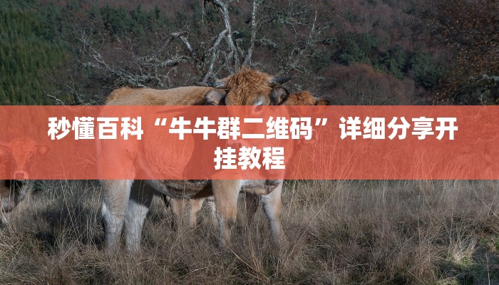 秒懂百科“牛牛群二维码”详细分享开挂教程 秒懂百科“牛牛群二维码”详细分享开挂教程