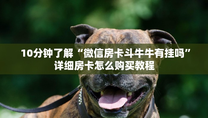 10分钟了解“微信房卡斗牛牛有挂吗”详细房卡怎么购买教程 10分钟了解“微信房卡斗牛牛有挂吗”详细房卡怎么购买教程