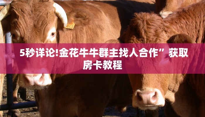5秒详论!金花牛牛群主找人合作”获取房卡教程 5秒详论!金花牛牛群主找人合作”获取房卡教程