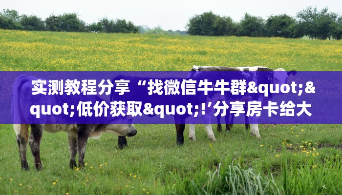  实测教程分享“找微信牛牛群""低价获取"!’分享房卡给大家