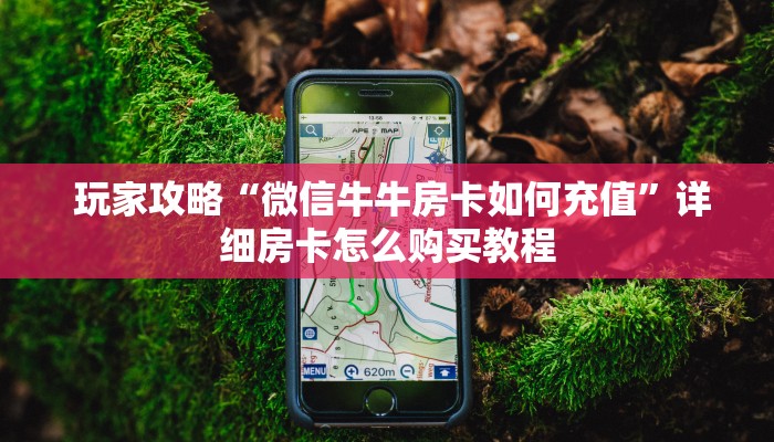  玩家攻略“微信牛牛房卡如何充值”详细房卡怎么购买教程