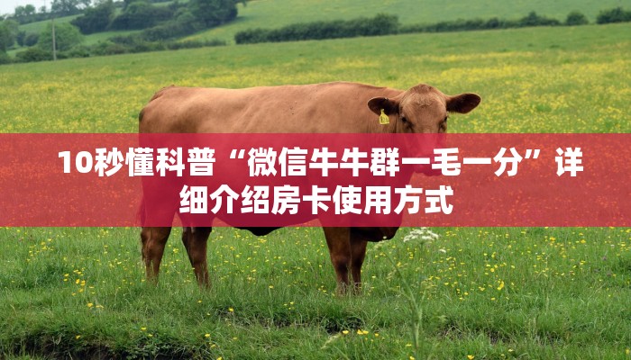  10秒懂科普“微信牛牛群一毛一分”详细介绍房卡使用方式