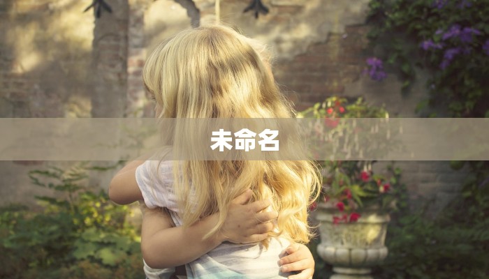 未命名 未命名